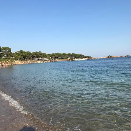 Fiori Di Cala Rossa Lecci