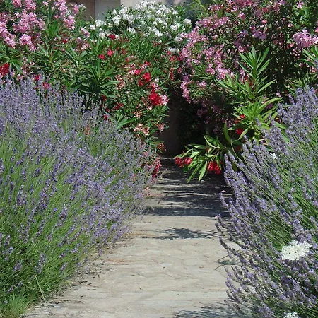 Aparthotel Fiori Di Cala Rossa 3*