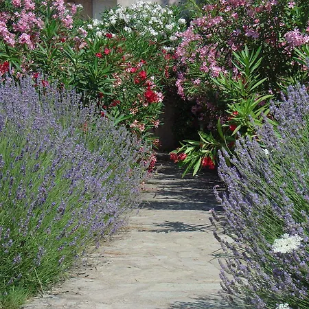 Lägenhetshotell Fiori Di Cala Rossa 3*