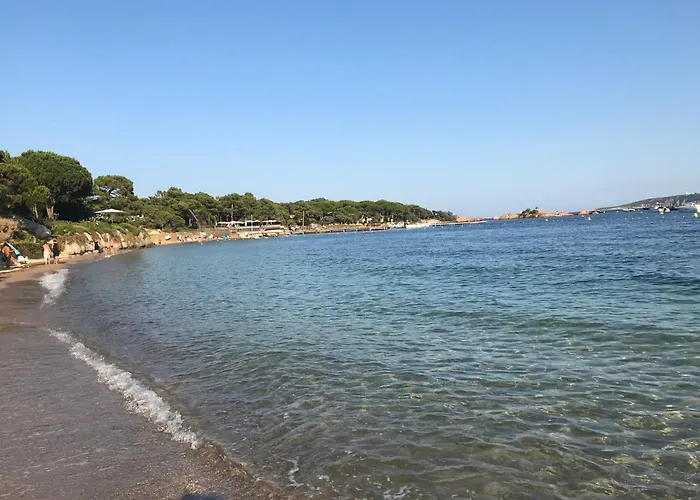 Fiori Di Cala Rossa Lecci