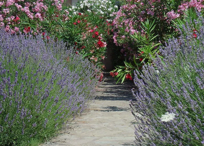 Appart hôtel Résidence Fiori Di Cala Rossa 2*